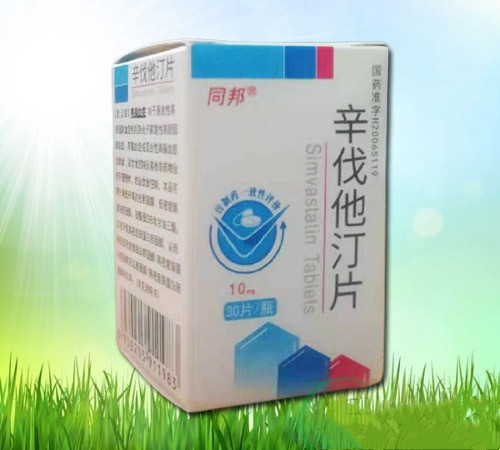 同邦—辛伐他汀片