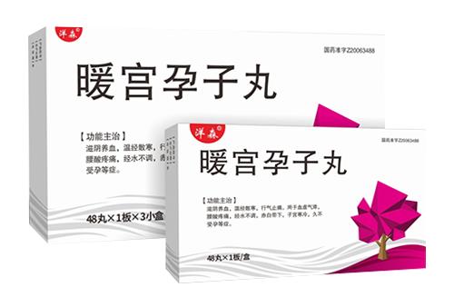 暖宫孕子丸
