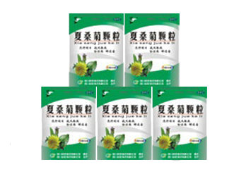 复方板蓝根颗粒(直立