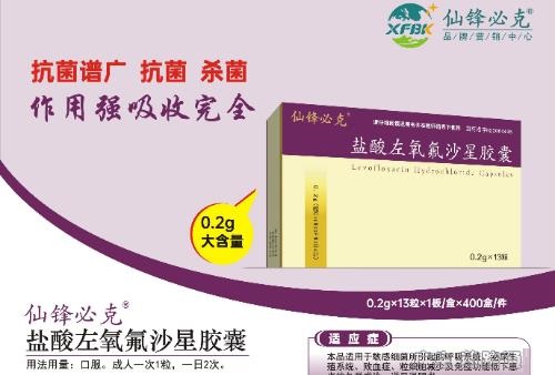 盐酸左氧氟沙星胶囊