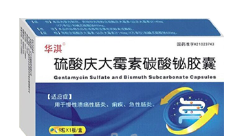 硫酸庆大霉素碳酸铋胶
