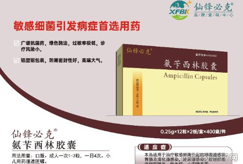 氨苄西林胶囊