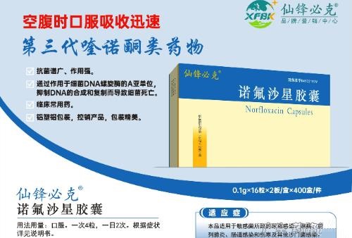 诺氟沙星胶囊