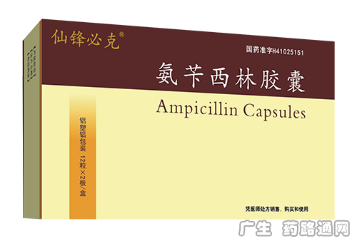 氨苄西林胶囊