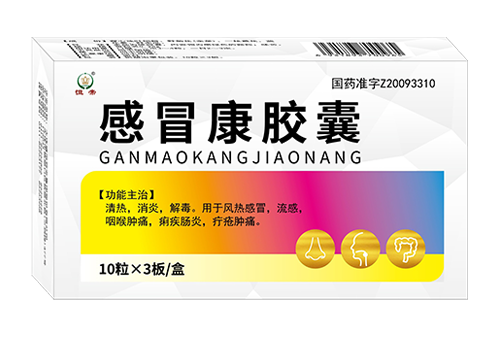 感冒康胶囊