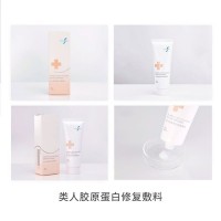 类人胶原蛋白修复敷料