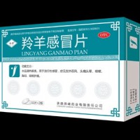 羚羊感冒片